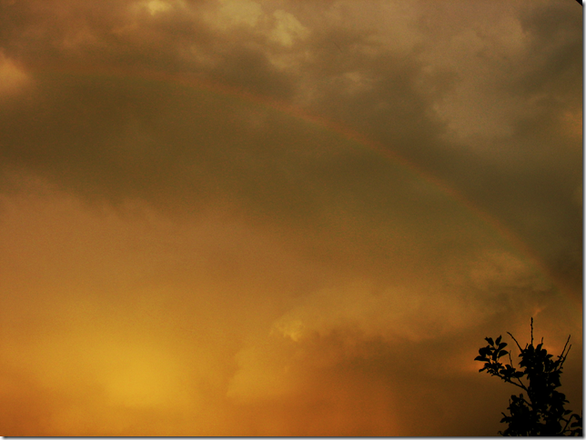 rainbow-und-gewitter-am-abend-by-arkis-juli-15